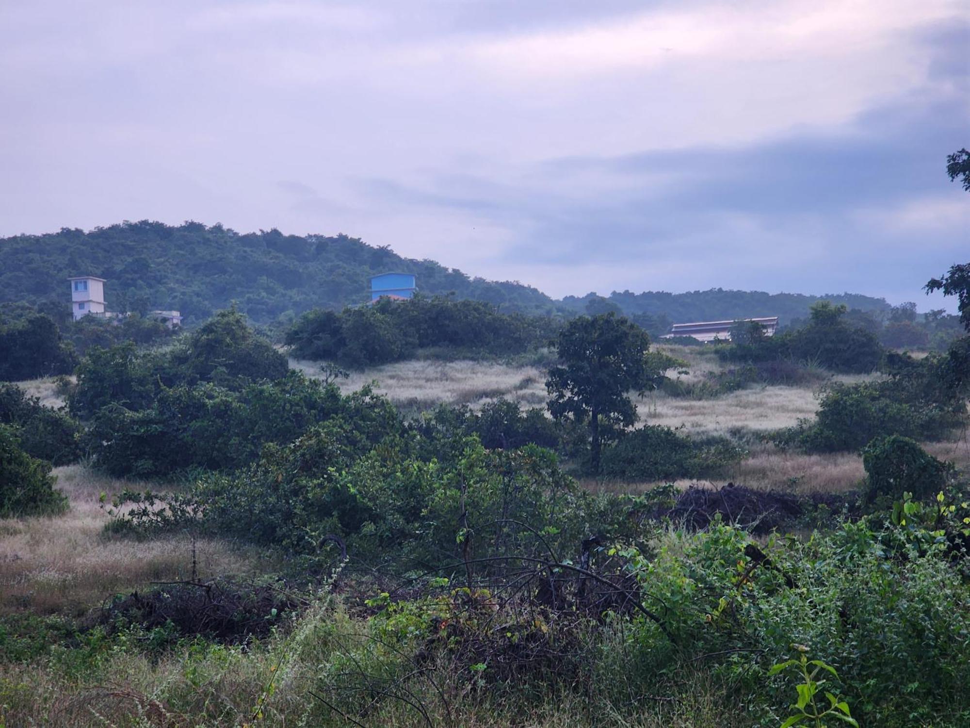 The Om Resort Arambol Exterior photo